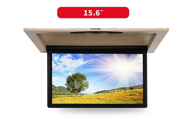 Car Flip Down Monitor