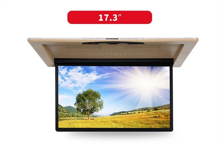 Car Flip Down Monitor